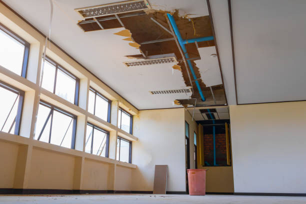 Best Basement water damage restoration  in Waller, TX