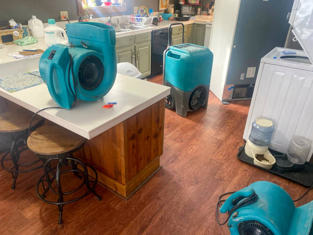 Best Sewage cleanup and water damage restoration  in Waller, TX