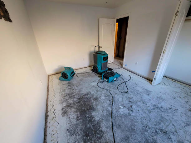 Best Water damage contractors near me  in Waller, TX
