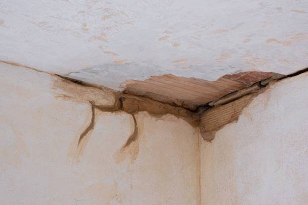 Best Water damage restoration near me  in Waller, TX
