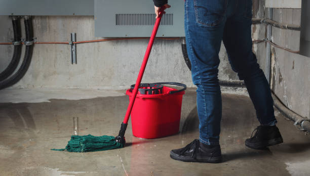  Waller, TX Water damage restoration Pros