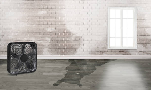 Best Sewage cleanup and water damage restoration  in Waller, TX