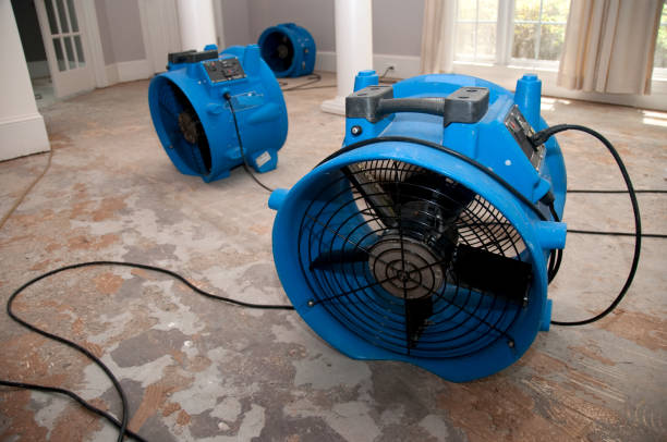 Best Local water damage restoration  in Waller, TX