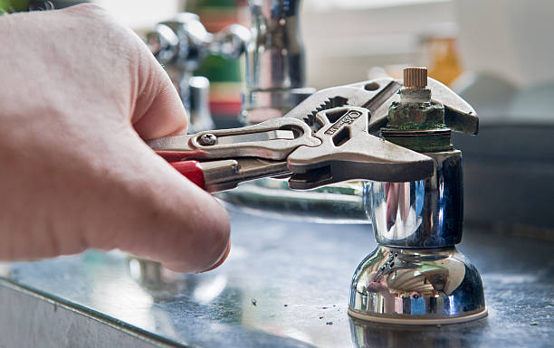 Best Mold removal after water damage  in Waller, TX