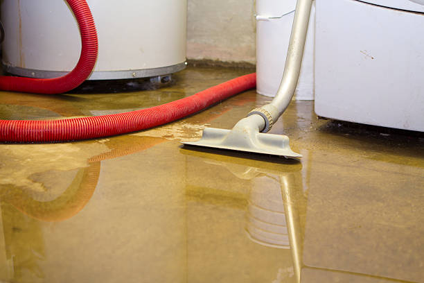 Best Carpet water damage restoration  in Waller, TX