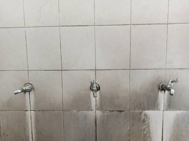 Best Fire Damage Restoration  in Waller, TX