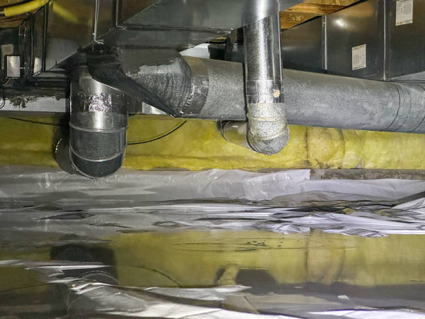 Best Flood damage cleanup  in Waller, TX