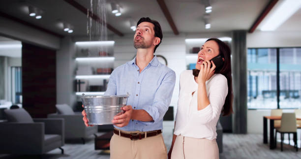 Best Basement water damage restoration  in Waller, TX