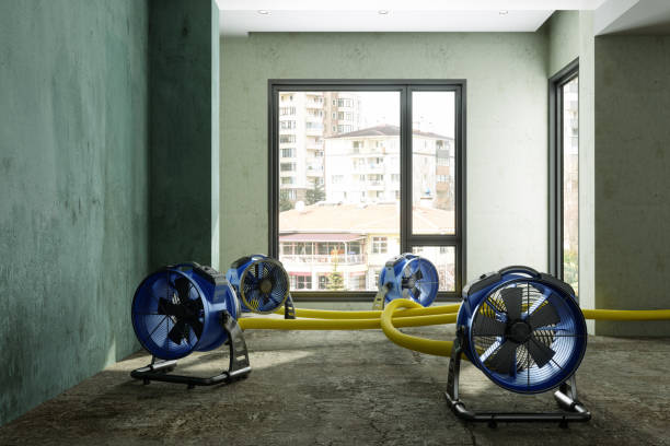 Best Professional water damage repair  in Waller, TX